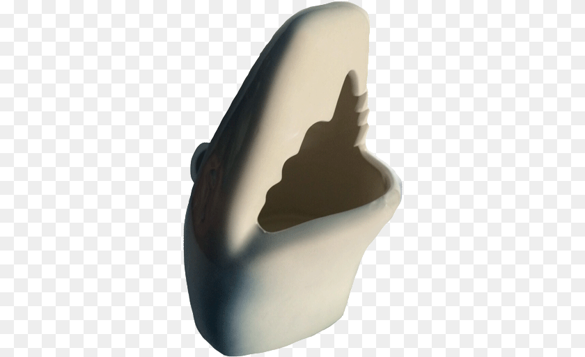 Whale, Animal, Invertebrate, Sea Life, Seashell Transparent PNG