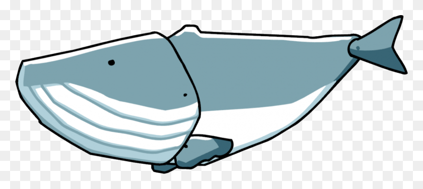 1245x505 Whale Scribblenauts Wiki Whale Scribblenauts, Sunglasses, Accessories, Accessory HD PNG Download
