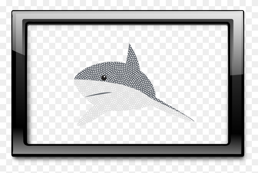 1880x1218 Китовая Акула Черная Рамка, Морская Жизнь, Рыба, Животное Hd Png Скачать
