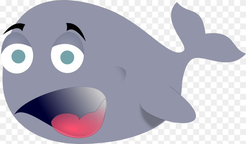 960x561 Whale Silly Cartoon Funny Whale Clipart, Animal, Fish, Sea Life, Shark Sticker PNG