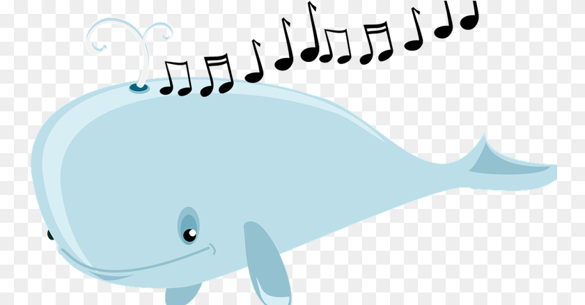 759x438 Whale Sounds Graphic Free Library Why Do Whales Whales, Tub, Bathing, Bathtub, Person Clipart PNG