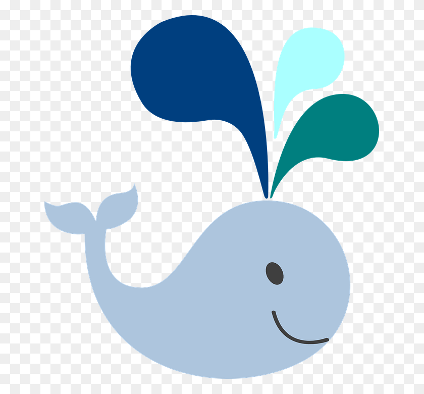 663x720 Whale Spraying Water Ocean Mammal Sea Marine Baby Whale Clipart, Animal, Bird, Graphics HD PNG Download