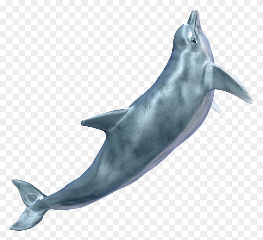 2323x2112 Whale Transparent Dolphin, Sea Life, Animal, Mammal HD PNG Download