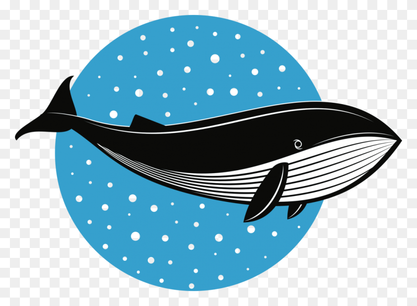 1047x749 Whales Fish Logo Dolphin Drawing Kit Logotip, Sea Life, Animal, Mammal HD PNG Download