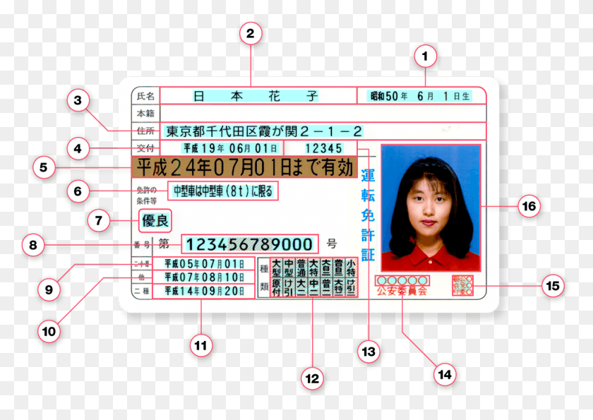 1189x816 What A Japanese Driver39s License Looks Like Japan Gold License, Text, Person, Human HD PNG Download