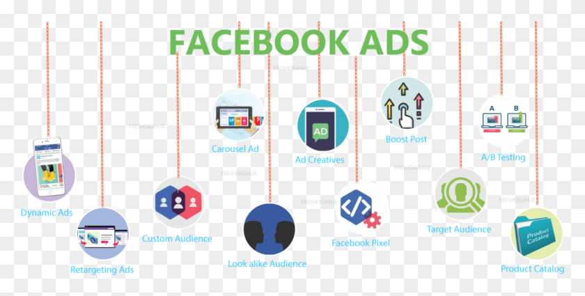 1248x584 What Are Facebook Ads And Their Types Graphic Design, Vegetation, Plant, Nature Descargar Hd Png