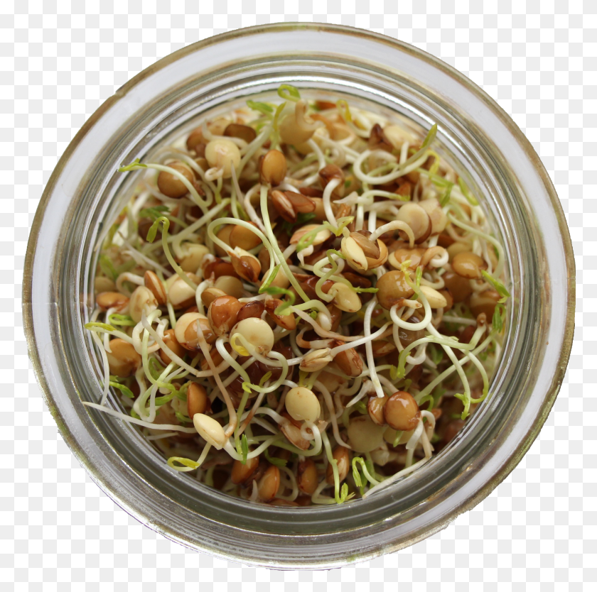 2108x2094 What Are Sprouts Mung Bean HD PNG Download
