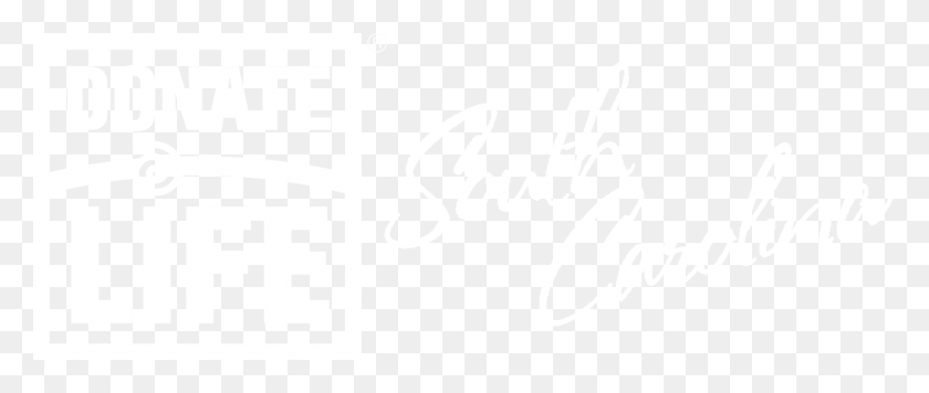 1466x558 What Can You Make Possible Calligraphy, White, Texture, White Board HD PNG Download