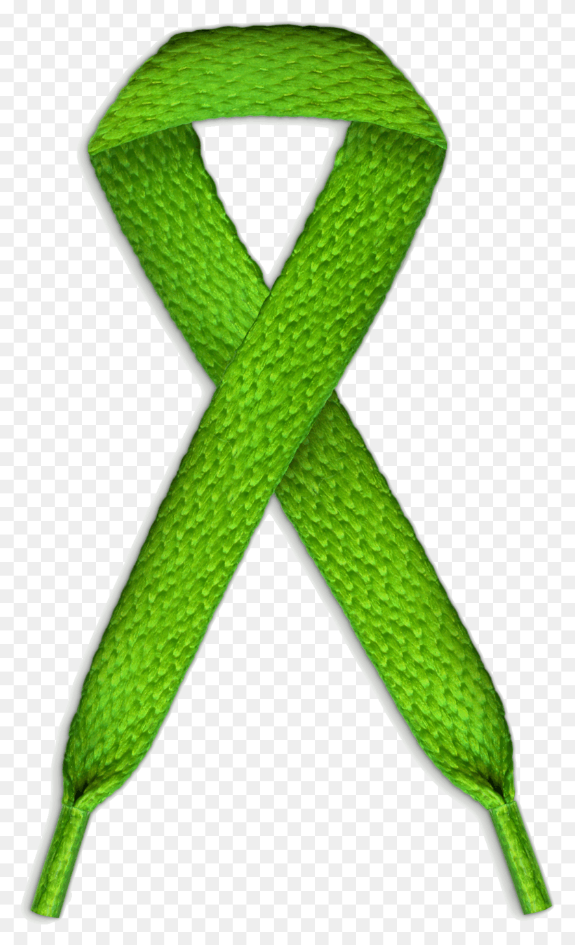 1333x2255 What Do The Green Shoe Laces Mean In Educational Reformthe Scarf, Leaf, Plant, Clothing HD PNG Download