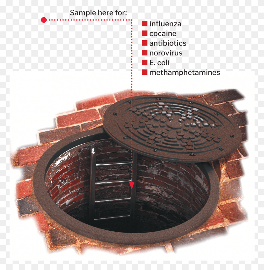 1464x1501 What Does Cambridge Sewage Say About Residents Mit Wood, Hole, Sewer, Drain HD PNG Download
