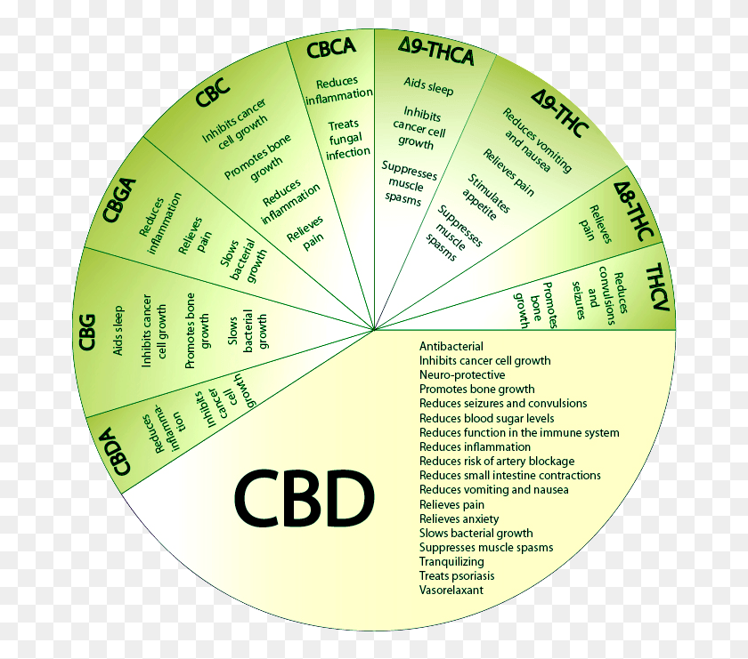 681x681 What Great For You Cbd Benefits Circle, Lighting, Menu, Text HD PNG Download