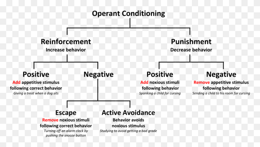 1201x639 What Is 39negative Reinforcement39 Definition And Real World Operant Conditioning, Text, Plot, Diagram HD PNG Download