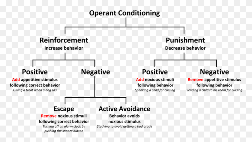 1201x639 Что Такое Отрицательное Подкрепление39 Определение И Оперантное Кондиционирование В Реальном Мире, Текст, График, Диаграмма Png Скачать