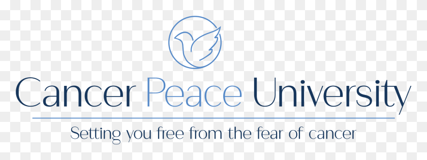 2425x794 What Is Cancer Peace University Calligraphy, Text, Alphabet, Word HD PNG Download