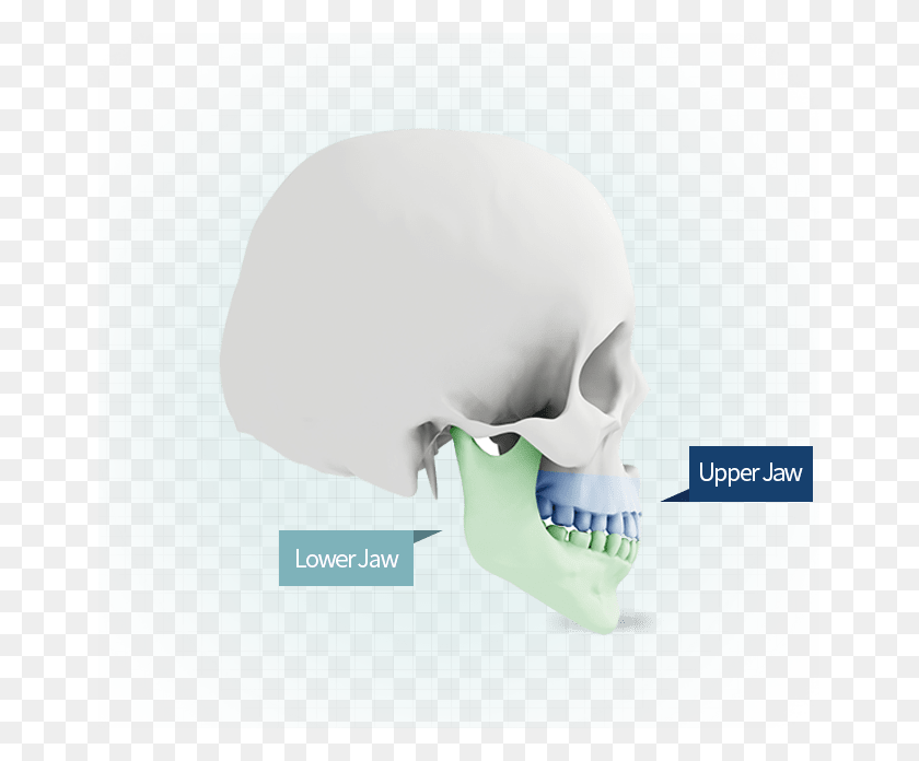 659x636 What Is Da39S Smile Double Jaw Surgery, Teeth, Mouth, Lip Descargar Hd Png