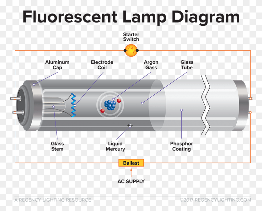 825x651 What Is Fluorescent Lighting A Diagram Of How A Fluorescent Do Fluorescent Lights Work, Outdoors, Nature, Astronomy HD PNG Download