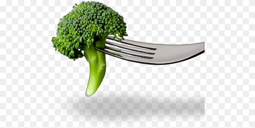 What Is Folic Acid Fork And Broccoli, Cutlery, Food, Plant, Produce Transparent PNG