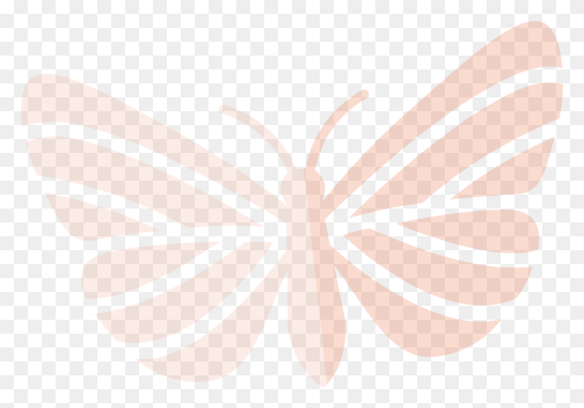 1024x692 What Is Mas Mariposas Mariposas Beige, Plant, Leaf, Pattern HD PNG Download