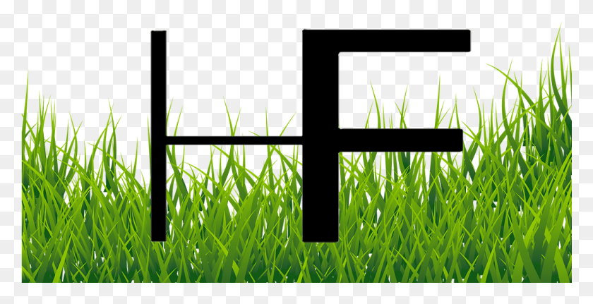 1025x488 What Other Items Do Customers Buy After Viewing This Grass Clipart Transparent Background, Plant, Green, Vegetation HD PNG Download