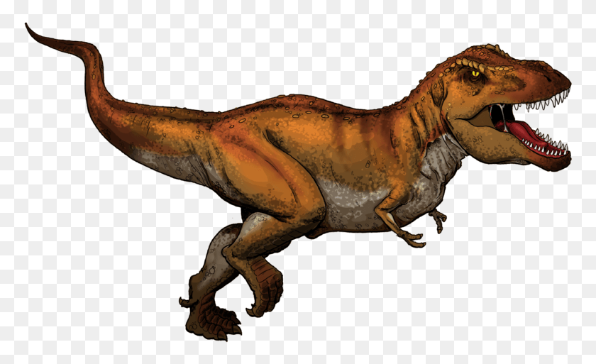 773x453 Что, Черт Возьми, Делает At Rex Со Своей Маленькой Отсталой Карточкой Динозавра, Рептилия, Животное, Тираннозавр Hd Png Скачать