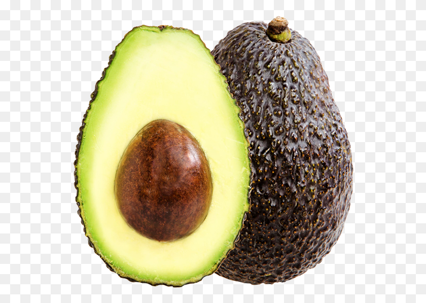 554x537 What You39ll Find In Spicy Guacamole Avocat Fruit Hass, Plant, Avocado, Food HD PNG Download