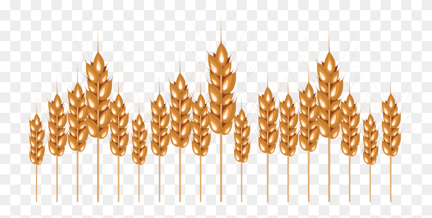 6804x3188 Wheat Illustration, Chandelier, Lamp, Plant HD PNG Download