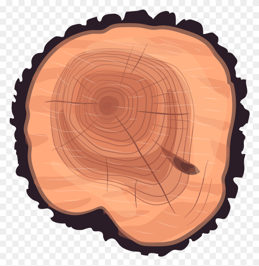 946x973 Wheel Eucalyptus Stump Tree Wood Trunk Clipart Tree Rings, Rock, Mountain, Outdoors HD PNG Download