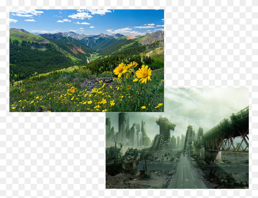 1429x1075 When The Tribes Finally Became Strong Enough To Force Plant Apocalypse, Nature, Outdoors, Collage HD PNG Download
