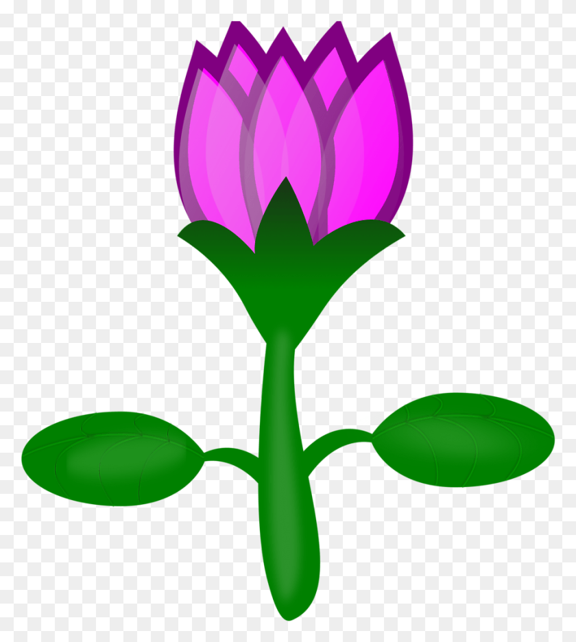 903x1015 When They Work Together They Stick Together Lotus Flower Cartoon, Plant, Flower, Blossom HD PNG Download