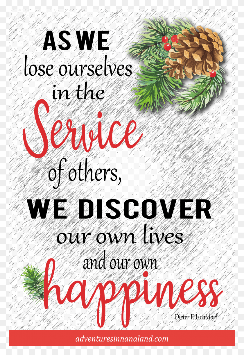 3064x4564 When We Lose Ourselves In The Service Of Others We Beira Rio Zapatos, Tree, Plant, Text HD PNG Download