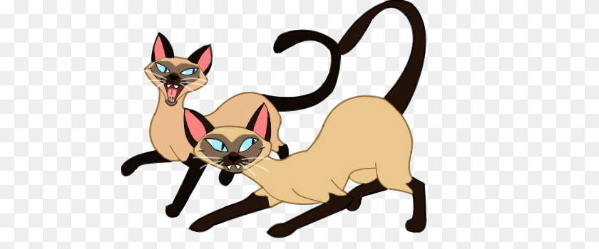 500x350 When You Wish Upon A Time Disney Wasnt Racist, Animal, Mammal, Cat, Pet Transparent PNG