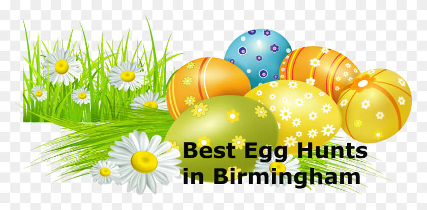 1075x488 Where Are Egg Hunts In Birmingham Joubert Scholtz Attorneys Kempton Park, Easter Egg, Food, Daisy HD PNG Download