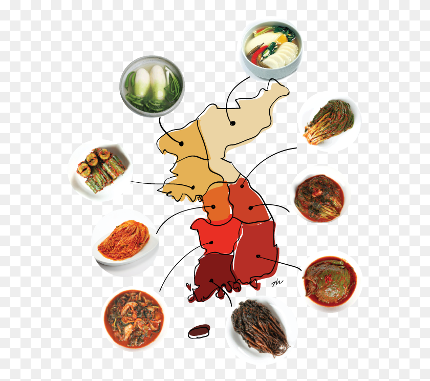 580x684 Where Kimchi Come From Cartoon, Bowl, Meal, Food HD PNG Download