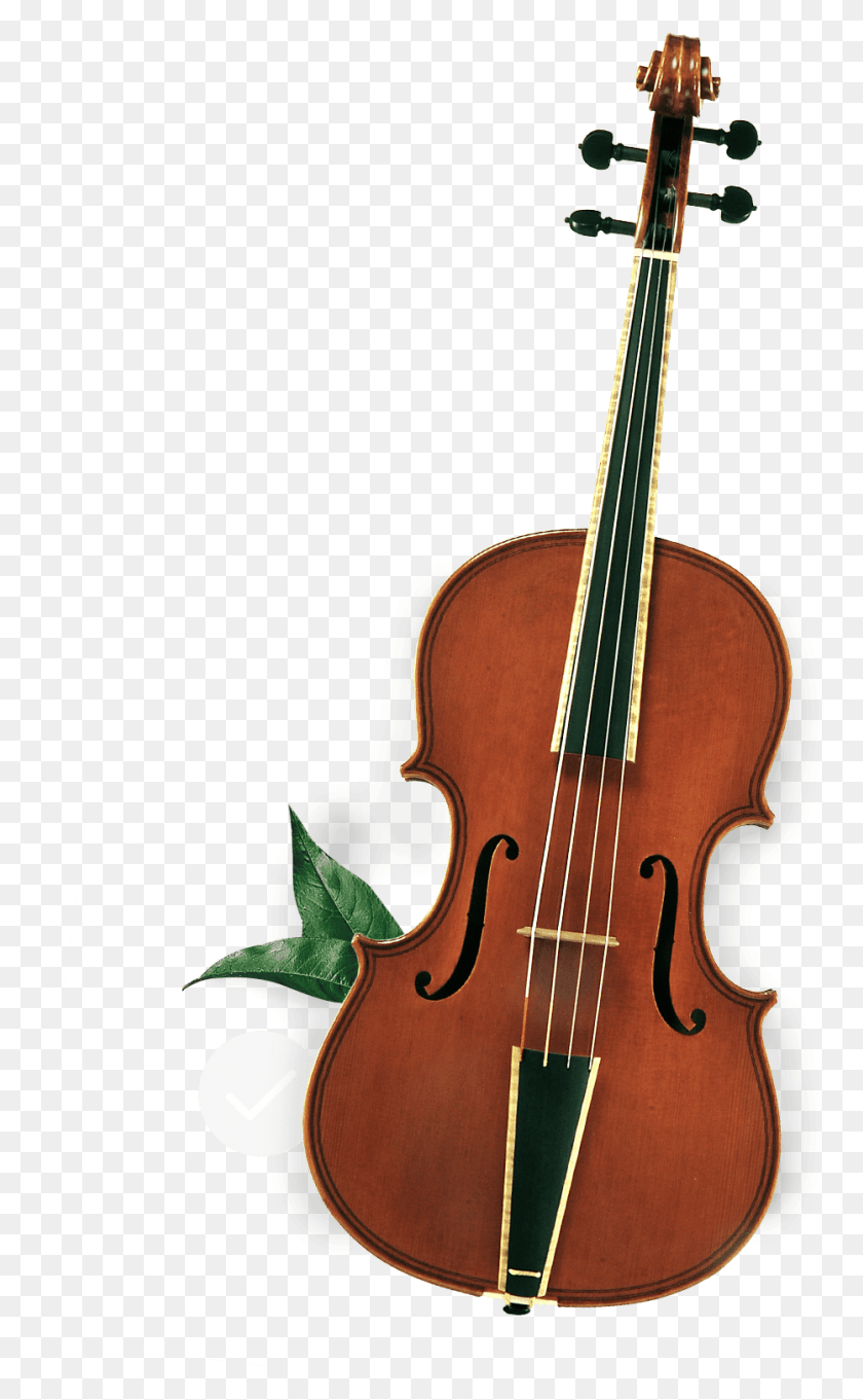 932x1555 Whether You Power Organize Or Thrive On The Bare Essentials Tyrol Violin, Leisure Activities, Musical Instrument, Fiddle HD PNG Download