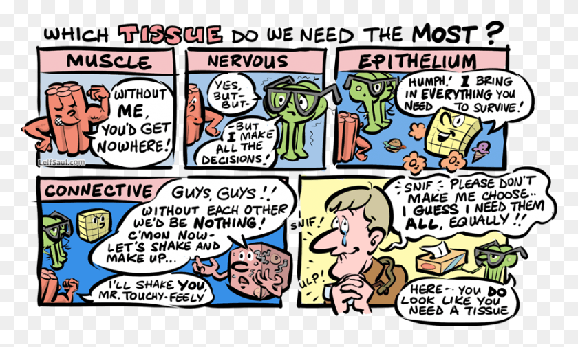 850x485 Which Tissue Do We Need The Most Comics, Book, Manga HD PNG Download