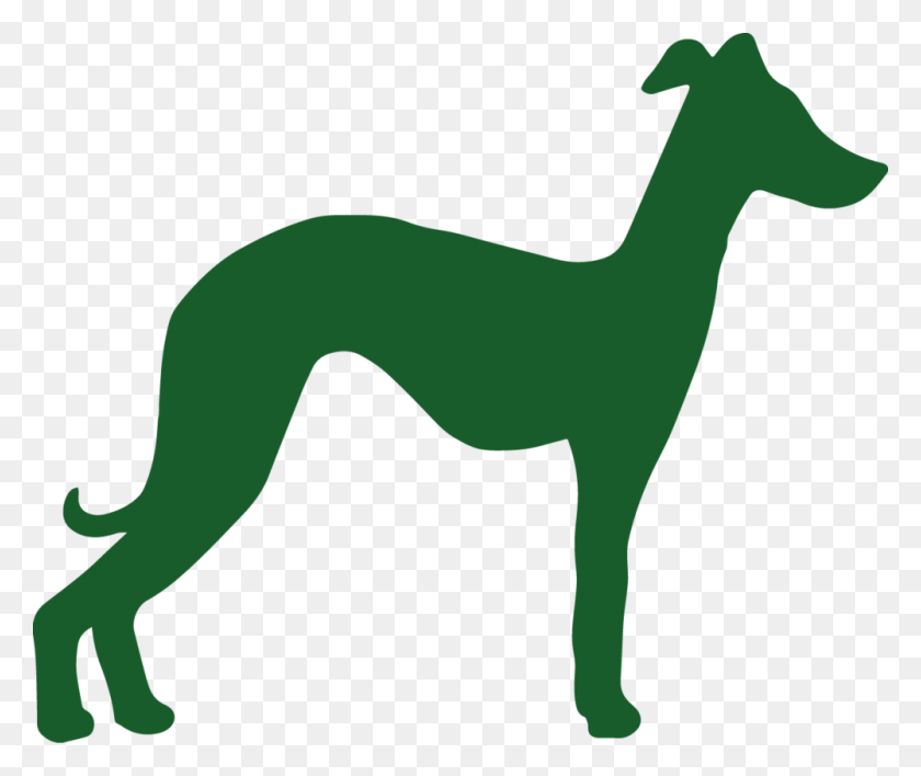 1000x832 Whippet Green Companion Dog, Animal, Mammal, Horse HD PNG Download