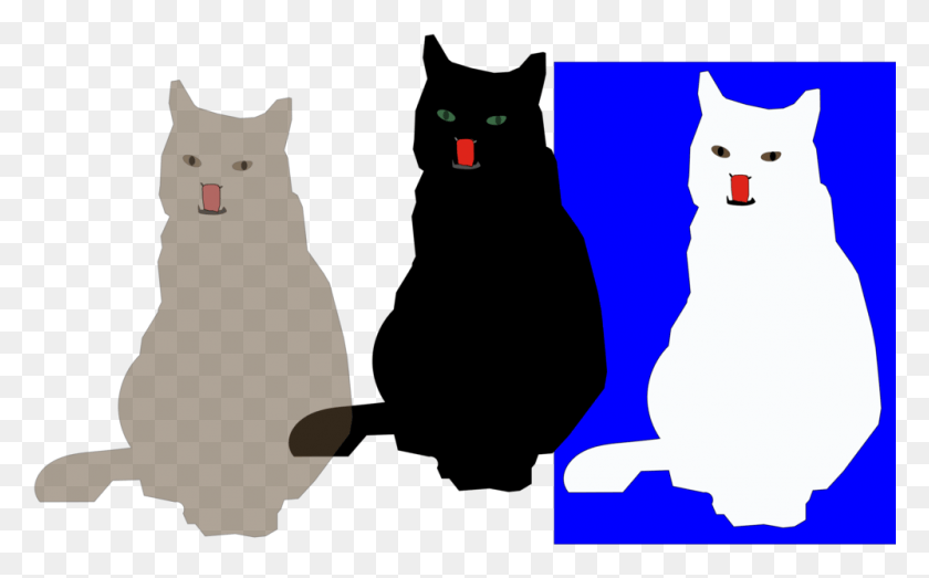 998x593 Whiskers Black Cat Kitten Paw Cat, Pet, Mammal, Animal HD PNG Download