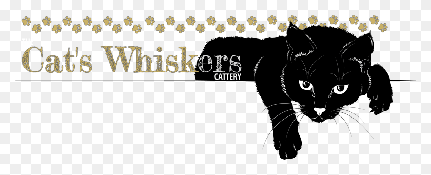 3841x1385 Whiskers Cartoon, Cat, Pet, Mammal HD PNG Download
