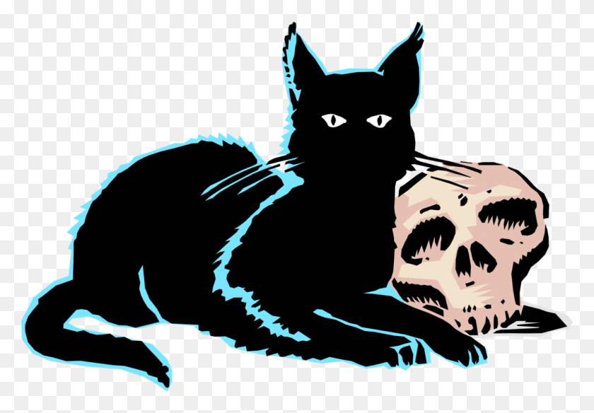 1116x750 Whiskers Kitten Cat Dog Skull Evil Black Transparent, Black Cat, Pet, Mammal HD PNG Download