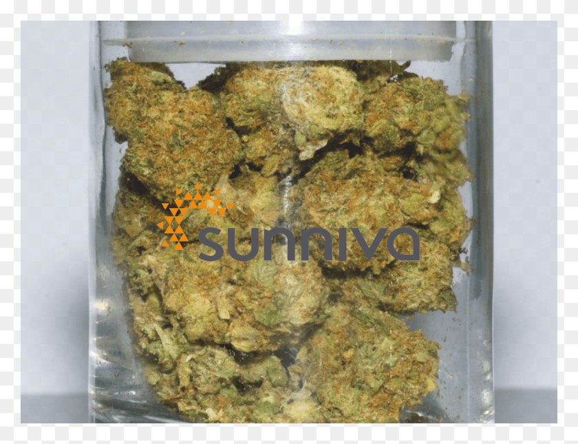1200x900 Whistler Medical Marijuana, Plant, Produce, Food HD PNG Download