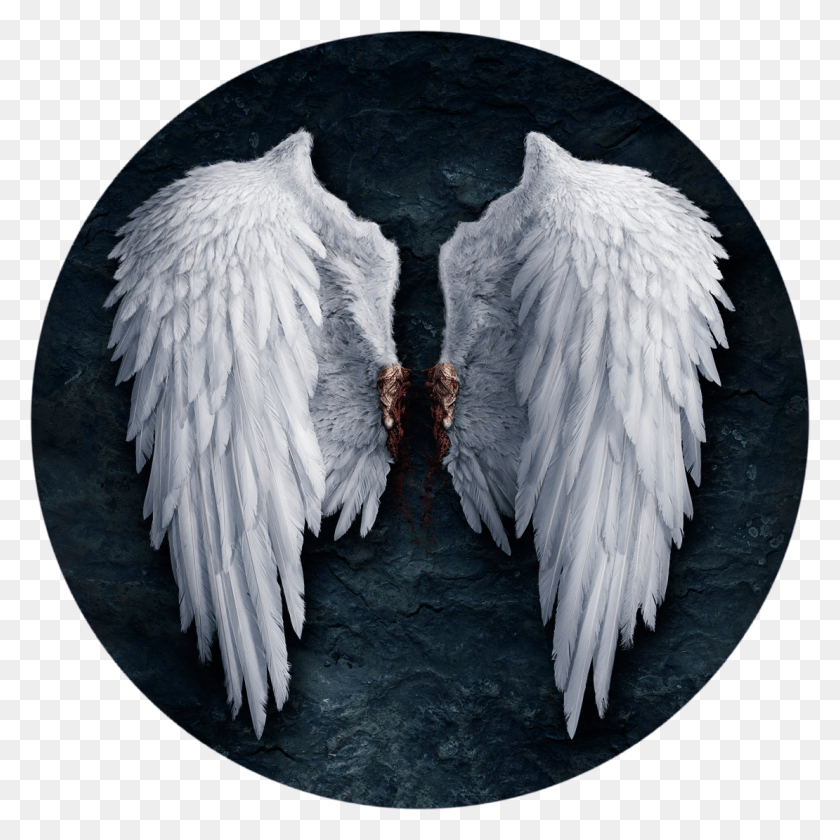 1110x1110 White Angel Wings Transparent, Bird, Animal, Clothing HD PNG Download
