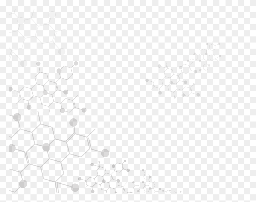 2415x1876 White Background, Outdoors, Nature, Food HD PNG Download