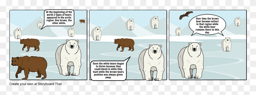 1145x370 White Bears Vs Brown Bears Cartoon, Wildlife, Animal, Bear HD PNG Download