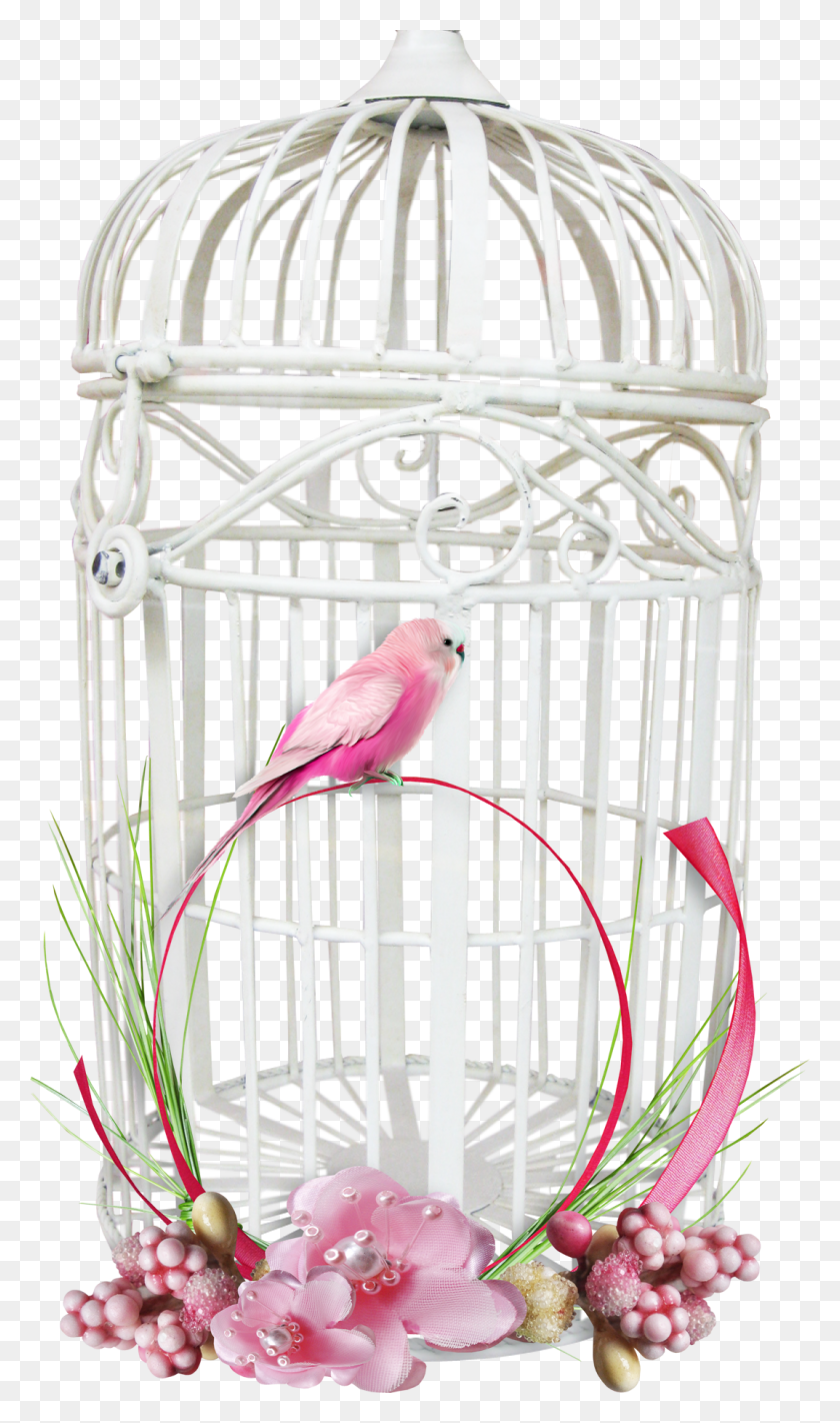 1073x1874 White Bird Cage Image Open Cage Transparent Background, Animal, Furniture, Parakeet HD PNG Download