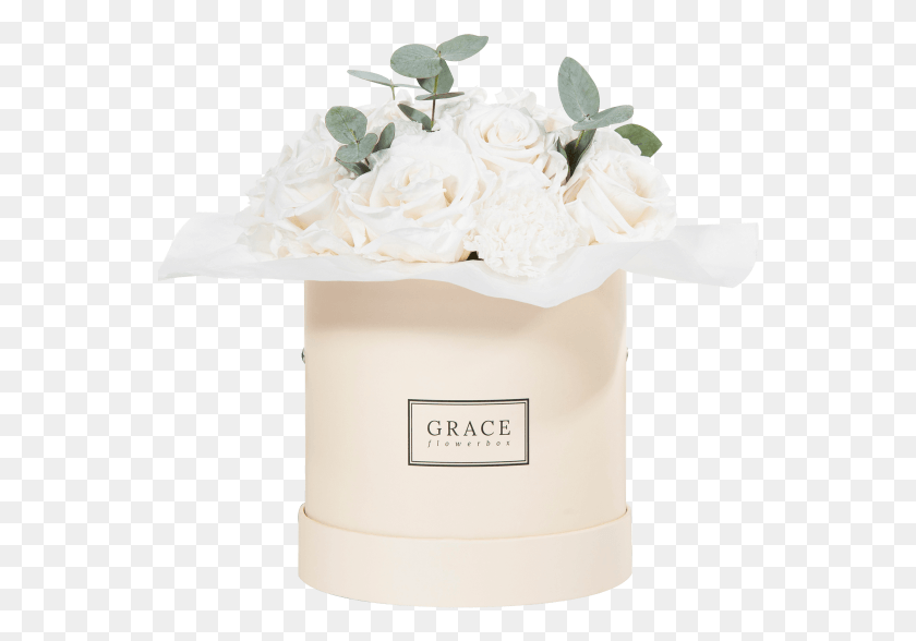 552x528 White Carnation Garden Roses, Cream, Dessert, Food HD PNG Download