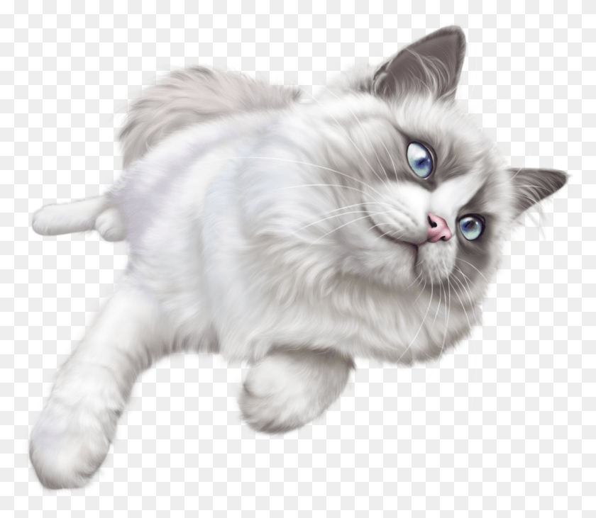 1124x968 White Cat Clip Art White Cat Transparent Background, Angora, Pet, Mammal HD PNG Download