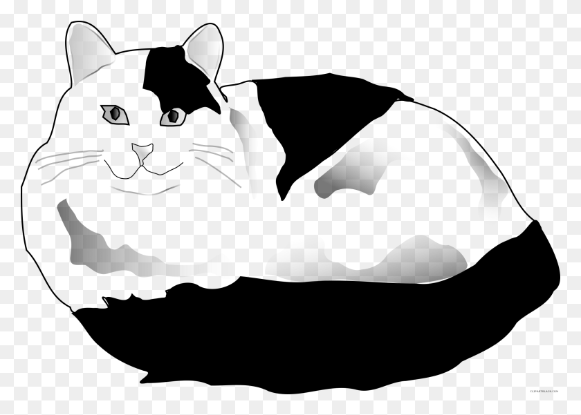 2400x1665 White Cat Clipart White And Black Cat Cartoon, Pet, Mammal, Animal HD PNG Download
