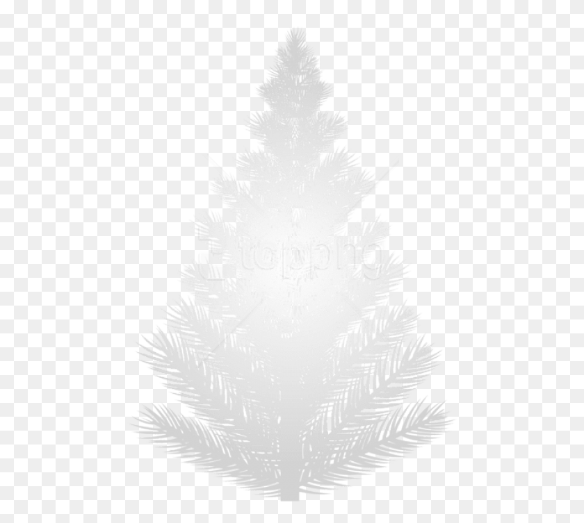 480x693 White Christmas Tree, Plant, Graphics HD PNG Download