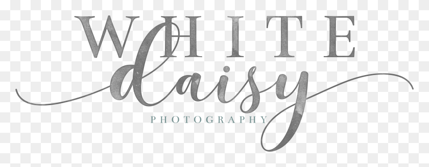 5552x1906 White Daisy Photography, Text, Handwriting, Calligraphy HD PNG Download