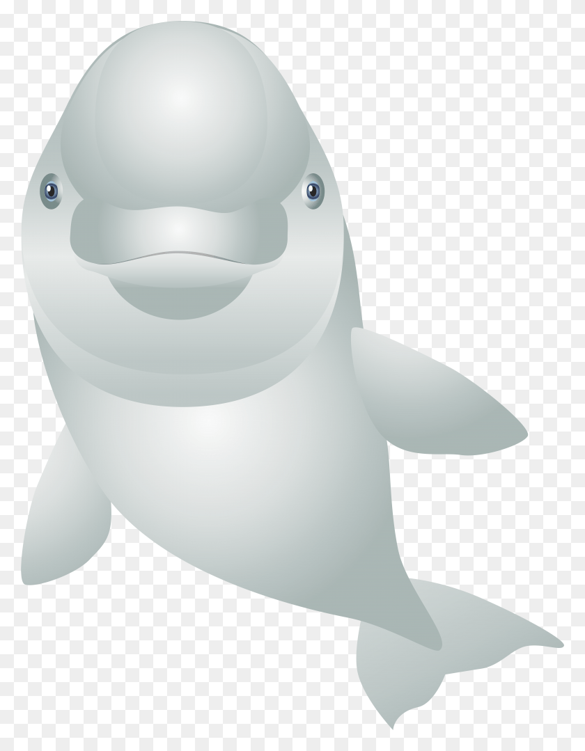 6069x7933 Белый Дельфин Мультфильм Прозрачное Изображение, Морская Жизнь, Животное, Млекопитающее Png Скачать